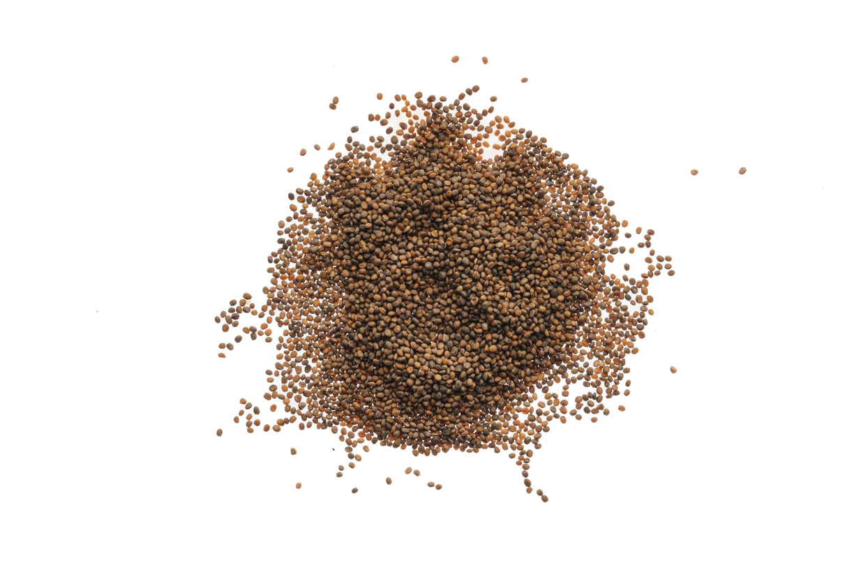 Kulturrauke - Bio-Samen 40gr