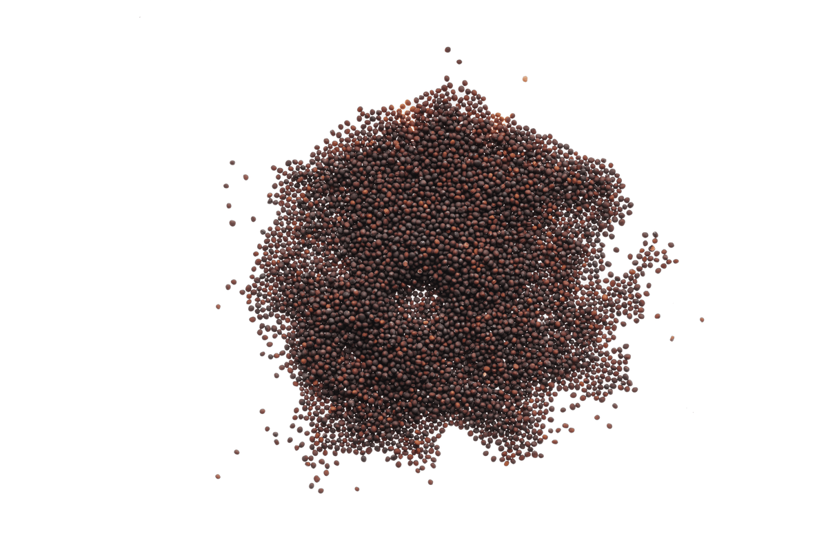 Bio-Brokkoli-Raab-Samen 40gr