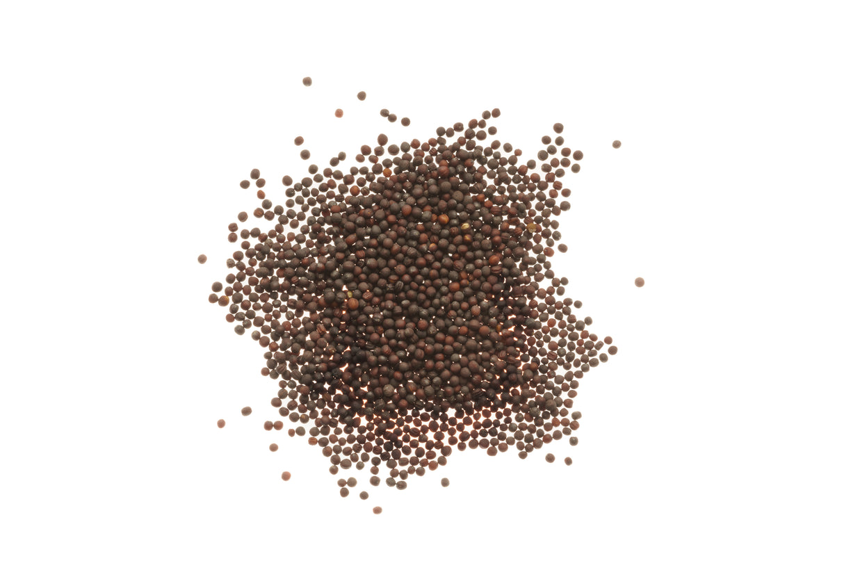 Pack Choi-Kohl - Bio-Samen 5gr