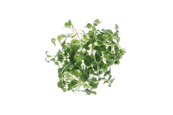 Pack Choi-Kohl - Bio-Samen 5gr