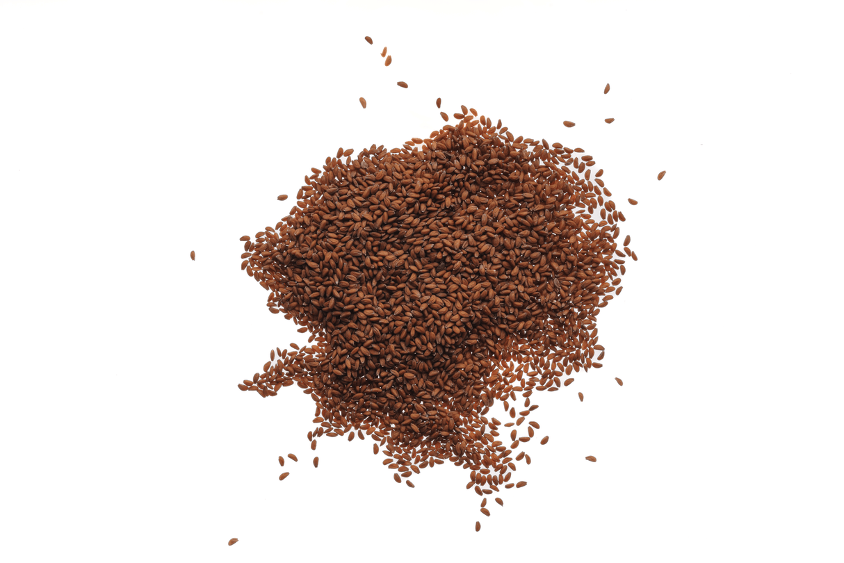 Brunnenkresse - Bio-Samen 50gr