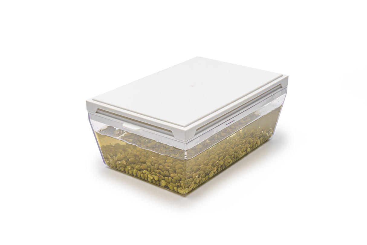 Mung Bean - Organic Seed 100gr