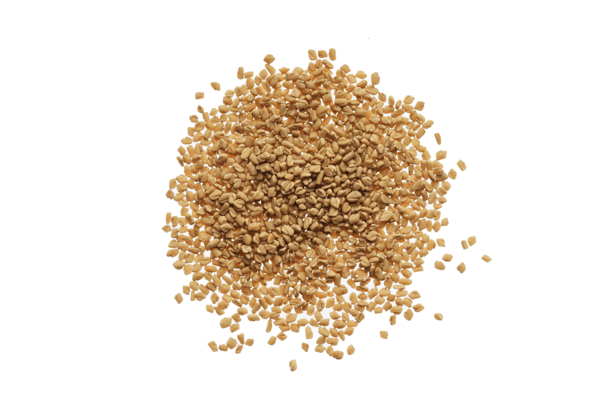 Bockshornklee - Bio-Samen 50gr