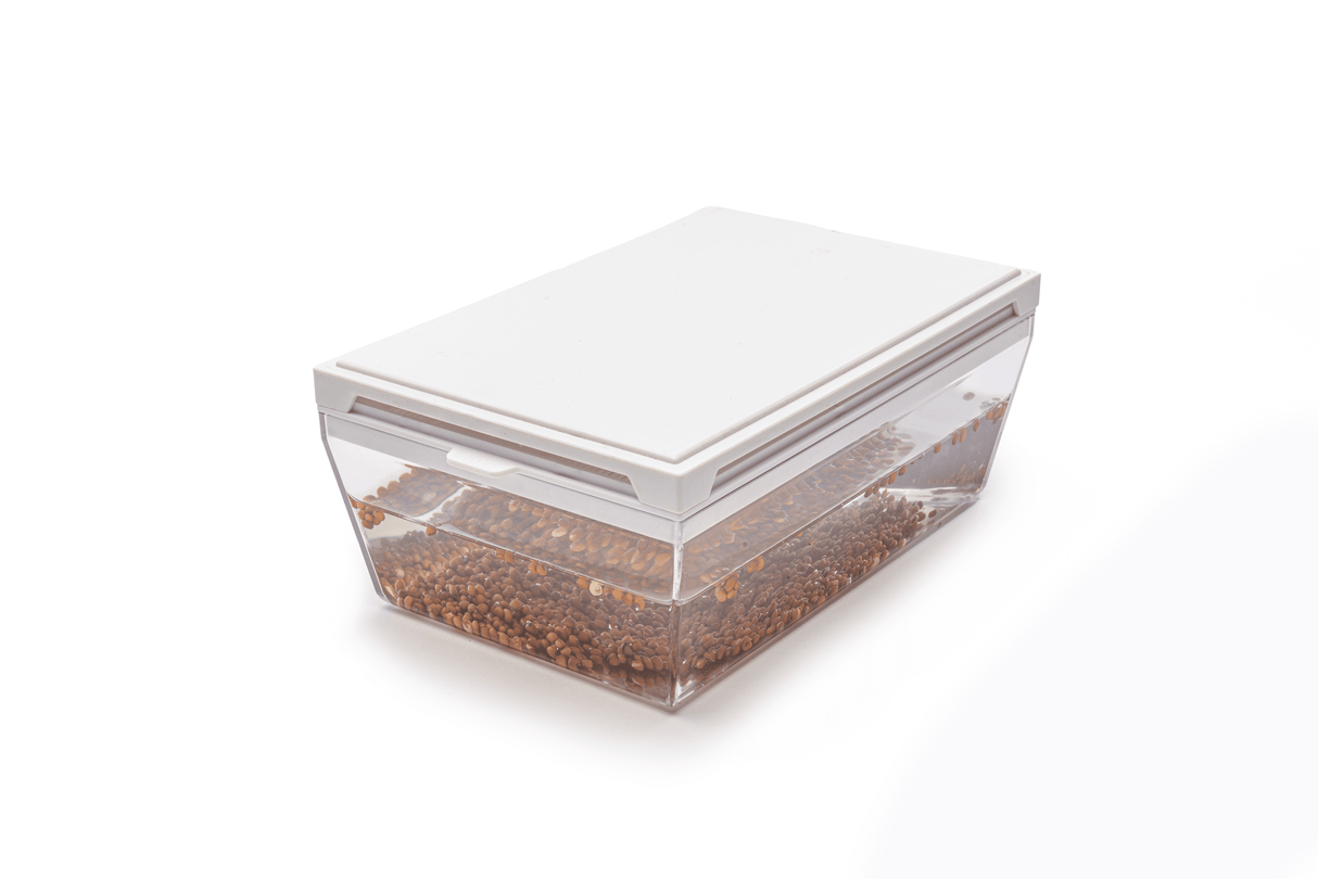 Bockshornklee - Bio-Samen 50gr