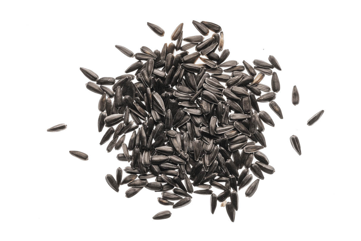 Sonnenblume - Bio-Samen 80gr