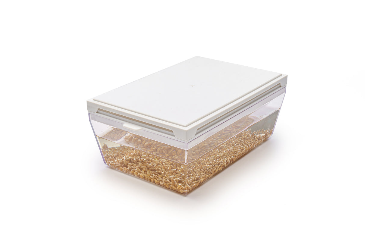 Weizen - Bio-Samen 100gr