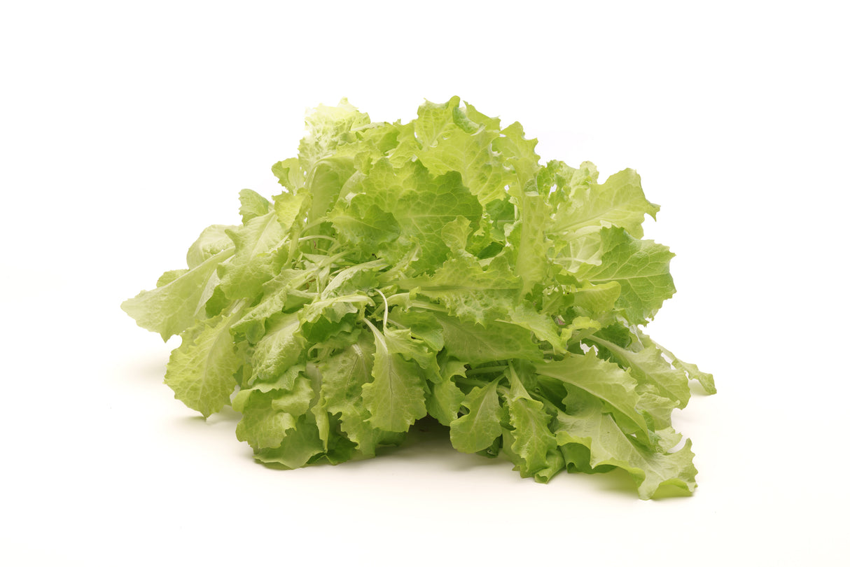 Blonder Salat - Bio-Samen 5gr