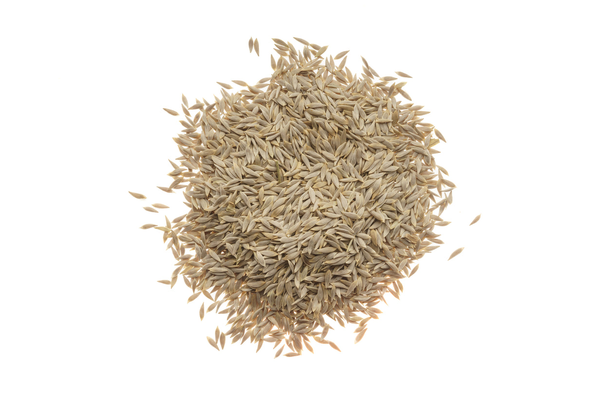 Blonder Salat - Bio-Samen 5gr