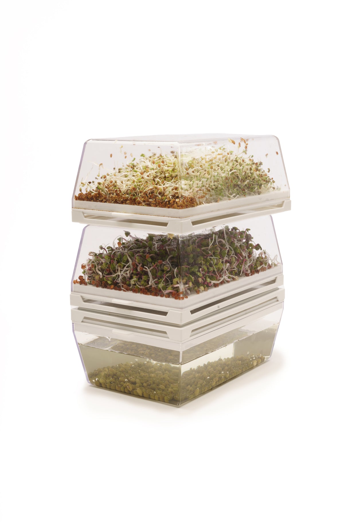 Hydro starter kit 3 Eva + 9 seeds - sk005