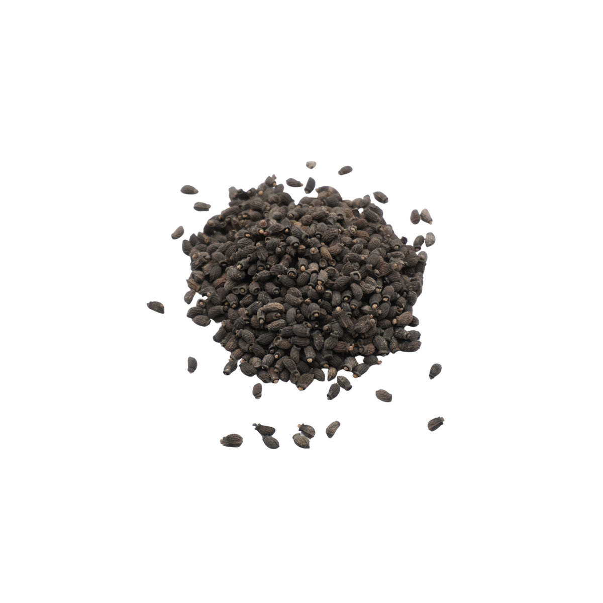 Semi di Boraggine bio - 6 g