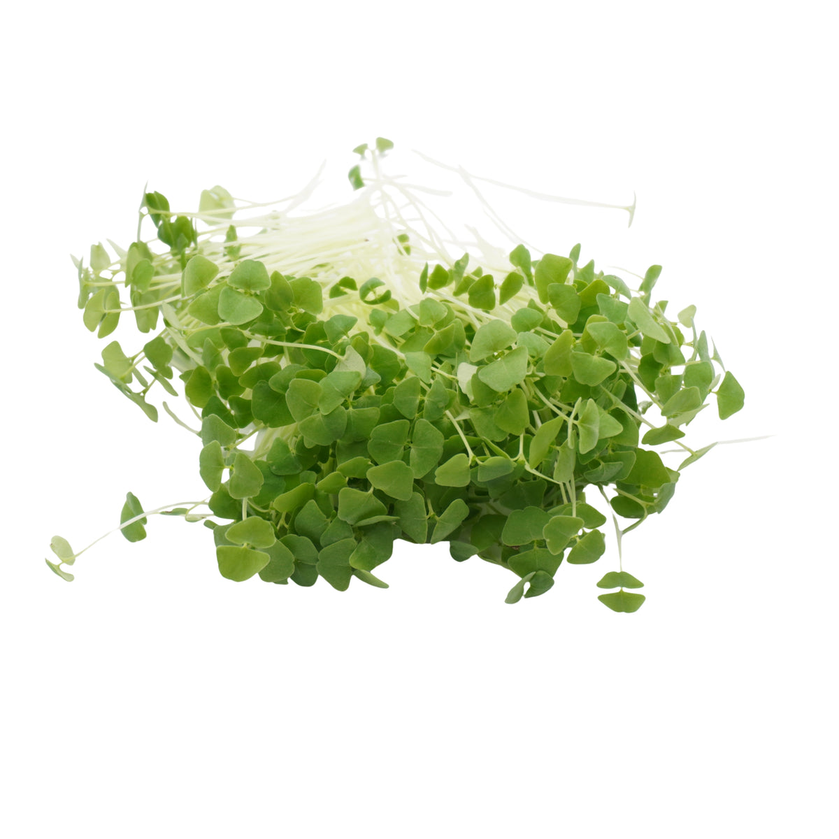 Semi di Chia bio - 2 g