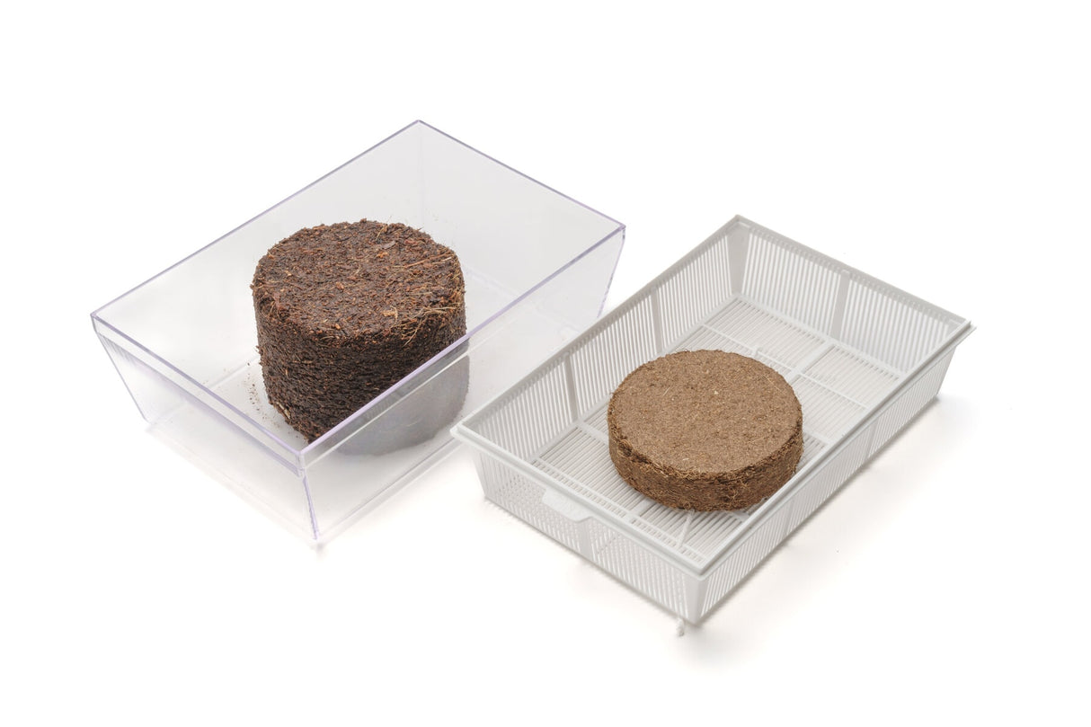 Coconut disc 75 3 pcs