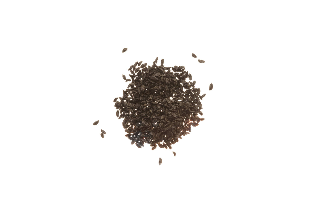 Schnittlauch - Bio-Samen 1gr