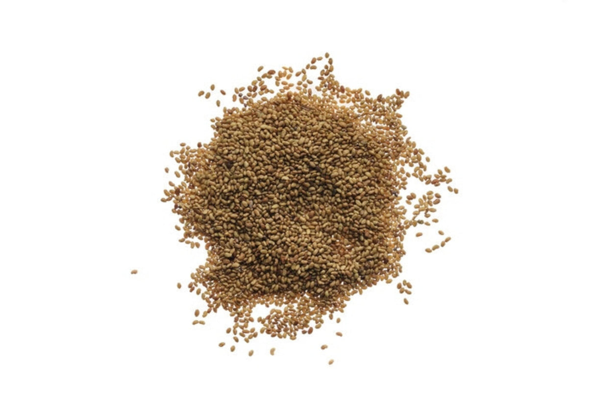 Bio Alfalfa-Luzerne-Samen 50gr