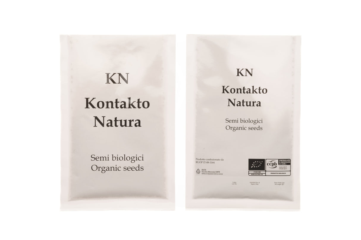 Mung Bean - Organic Seed 100gr