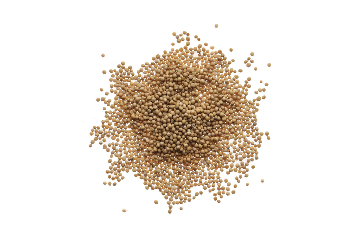 Weißer Senf - Bio-Samen 50gr