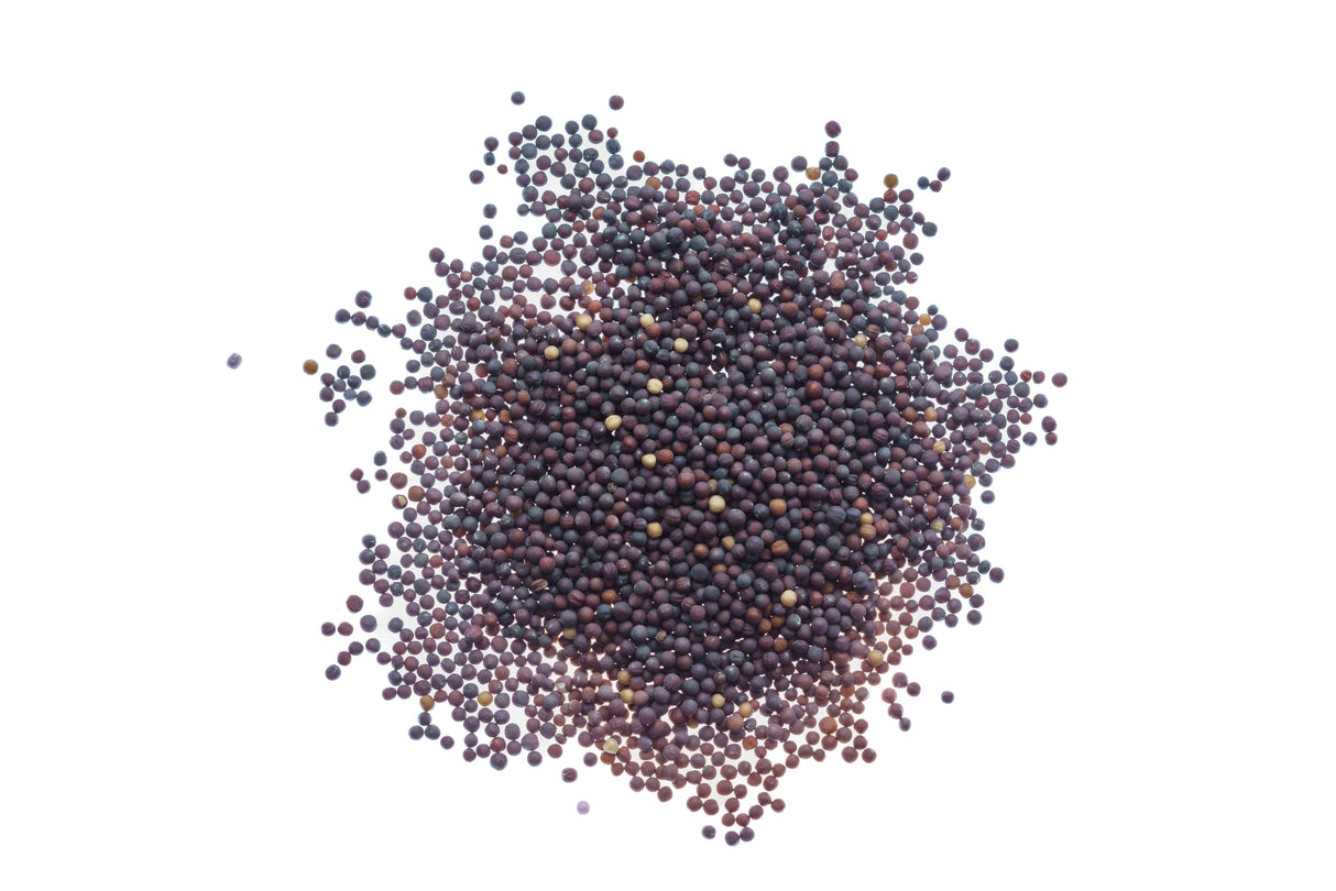 Tatsoi-Senf - Bio-Samen 5gr