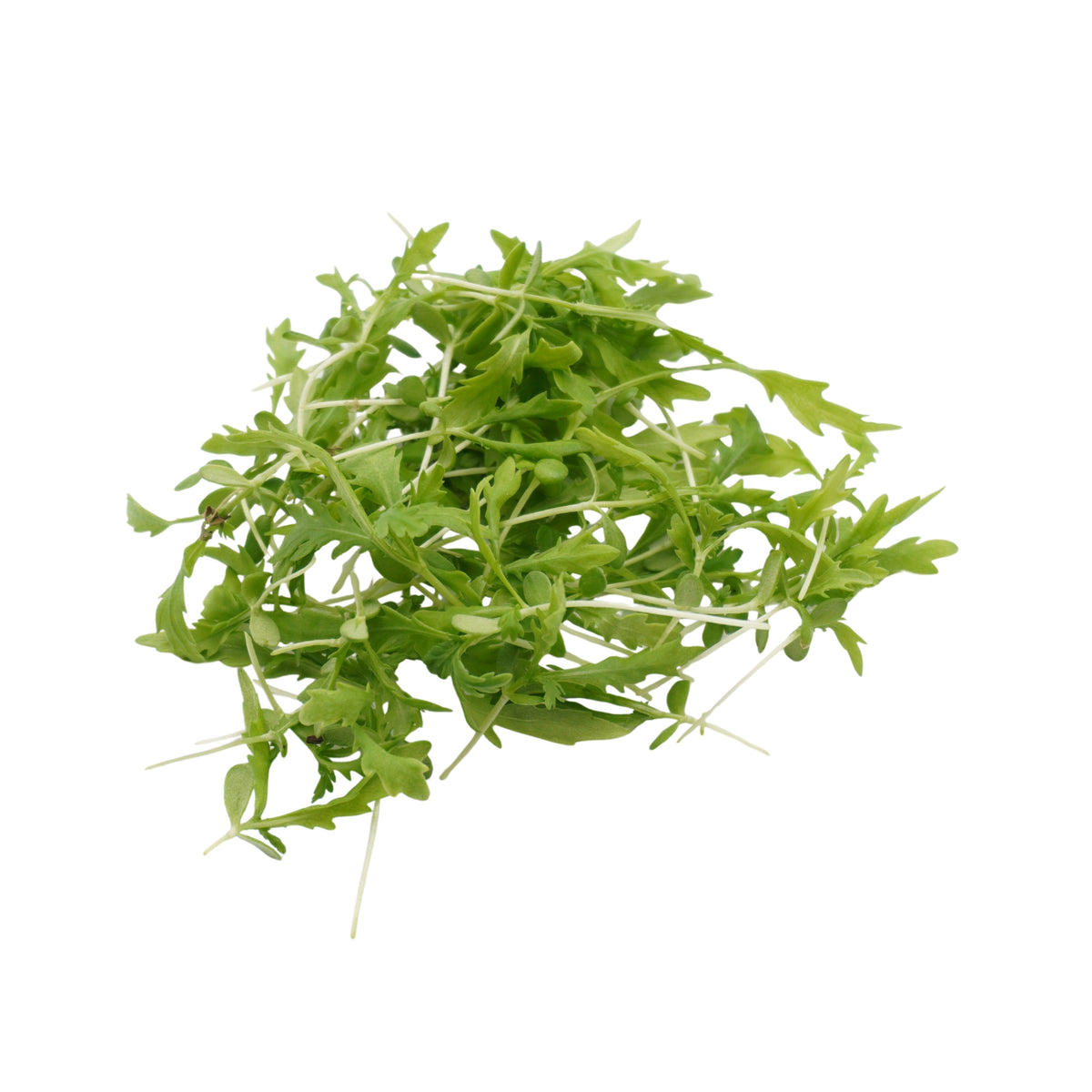 Semi di Shungiku Garland bio - 1,6 g