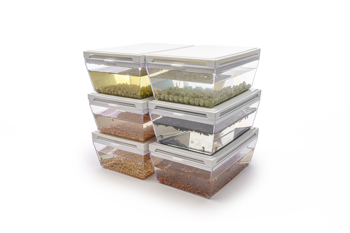 Starter kit hydro 6 Eva + 17 seeds - sk002