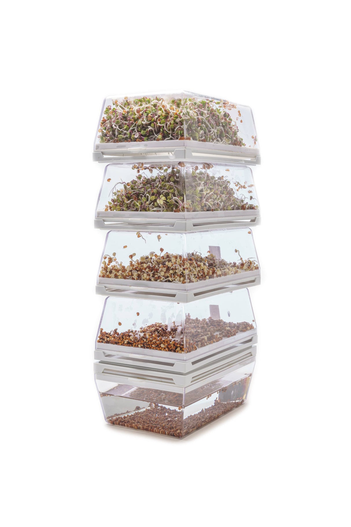 Starter kit hydro 6 Eva + 17 seeds - sk002