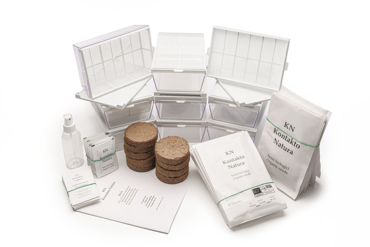 Kombi-Starterkit 9 Eva + 30 Samen - sk200