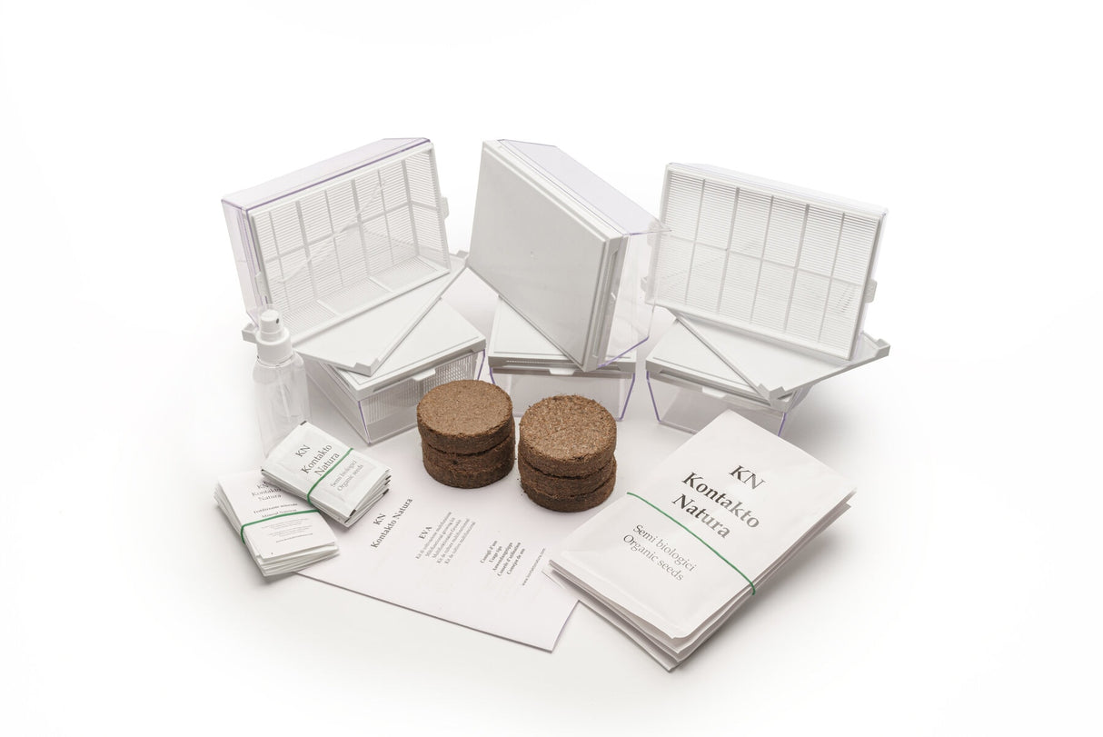 Kombi-Starterkit 6 Eva + 13 Samen – sk202