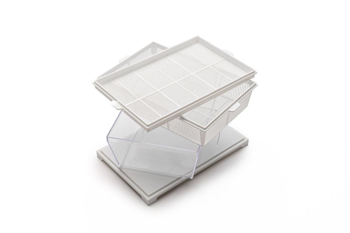 Starterset Eva K + 3 Samen - sk301