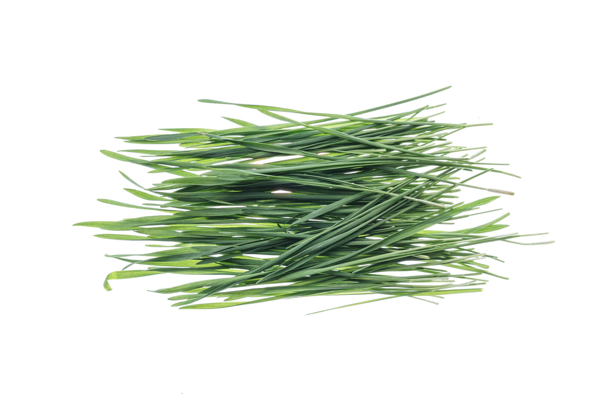 Starter kit hydro wheatgrass 3 Eva + 3 seed bags - sk550