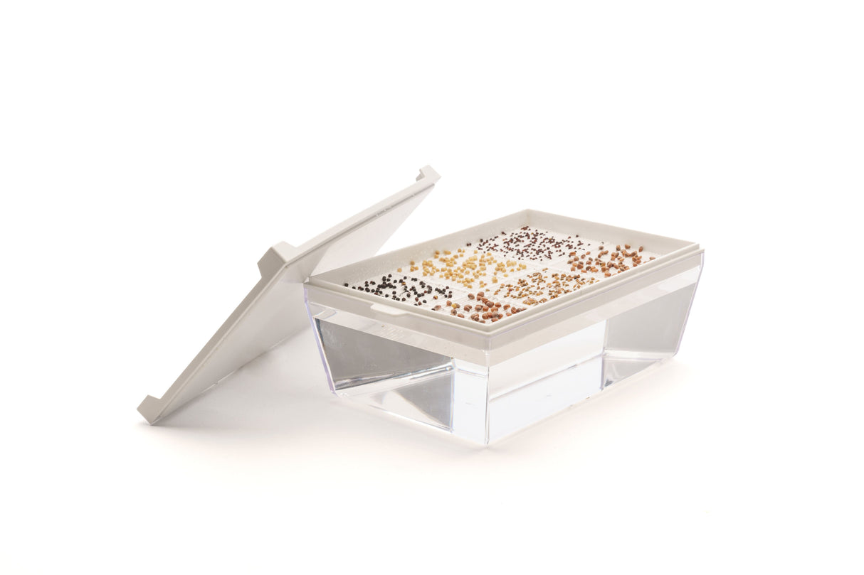 Set mit 3 Sorten Bio-Samen – sm001