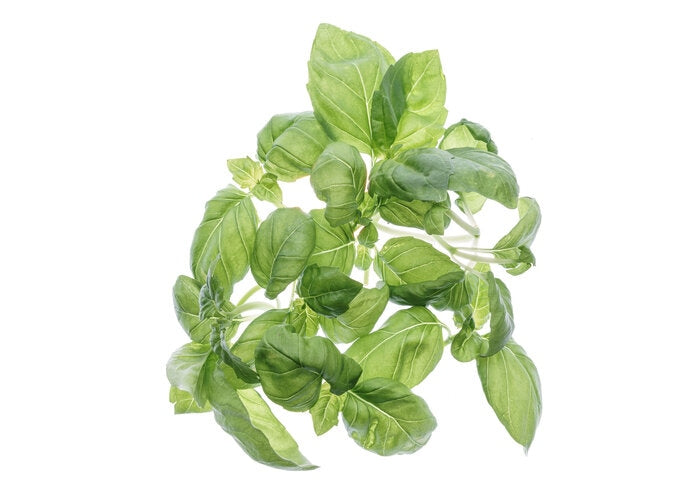 Set mit 3 Sorten Bio-Samen – sm006