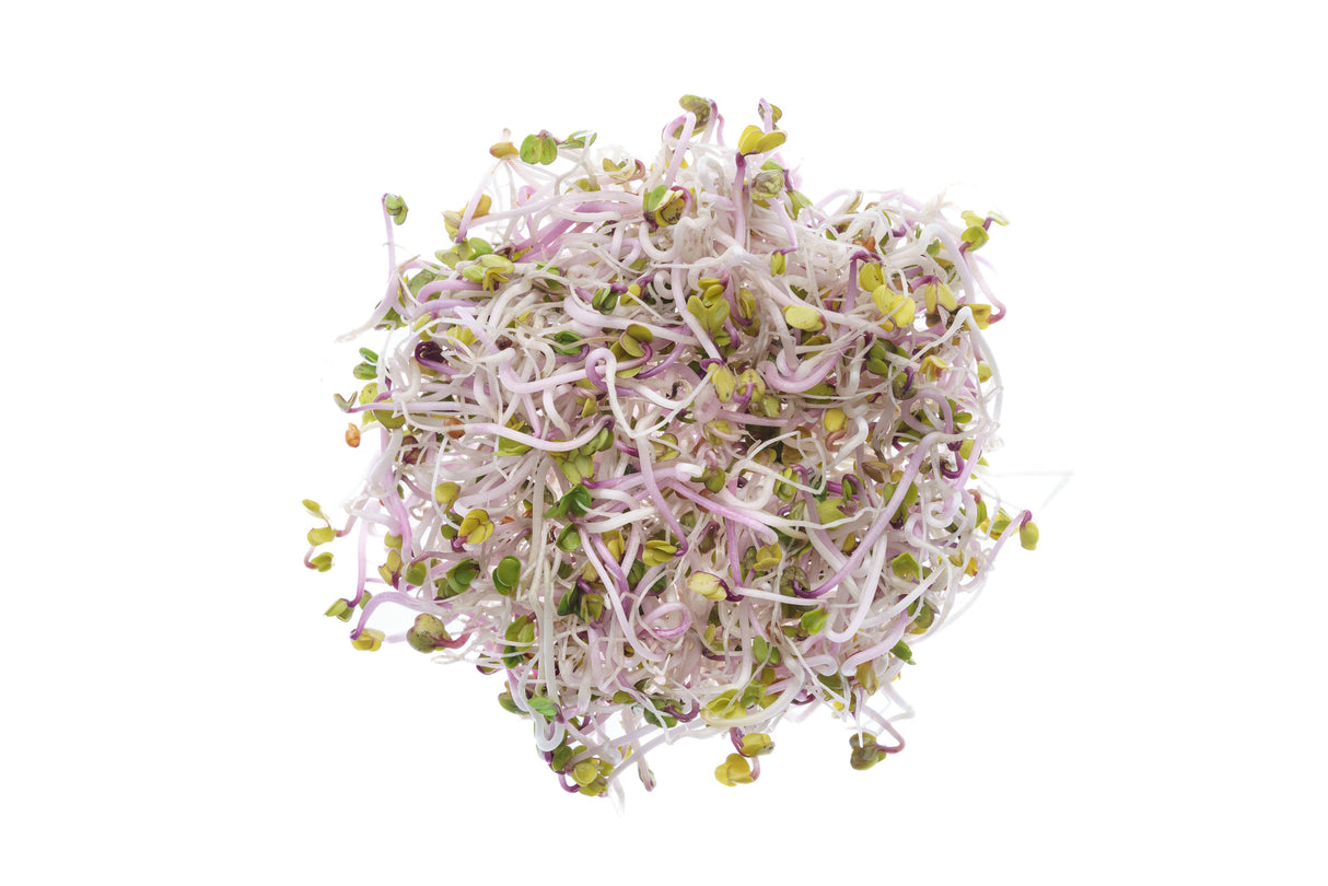 Set mit 6 Sorten Bio-Samen – sm103