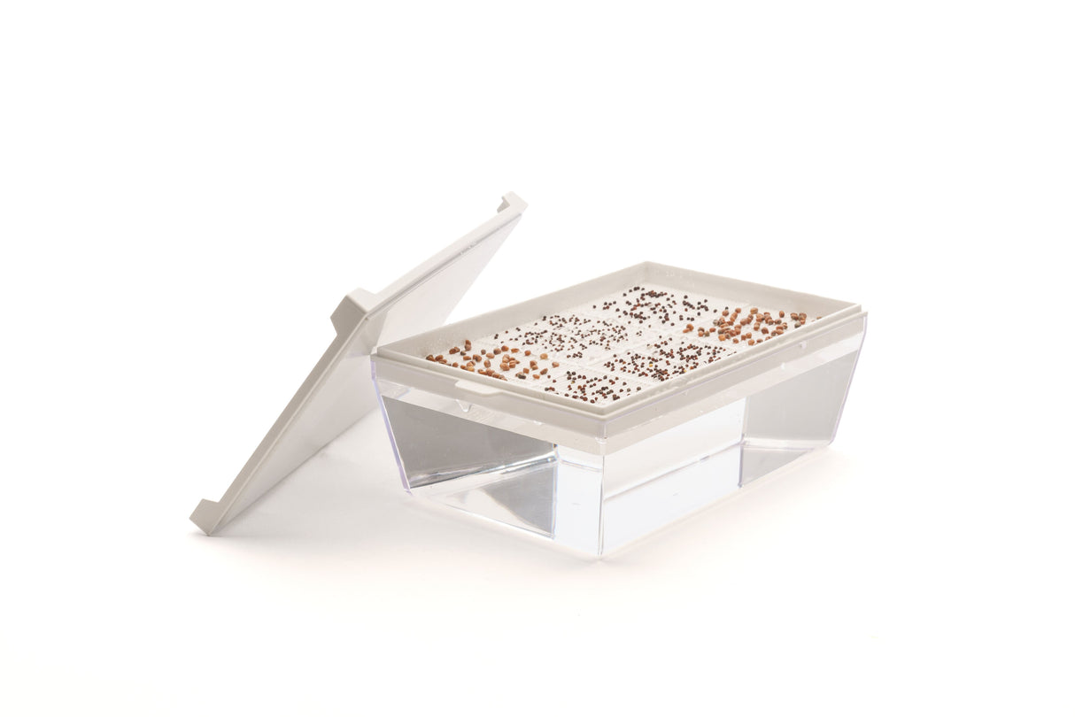 Set mit 5 Sorten Bio-Samen – sm106