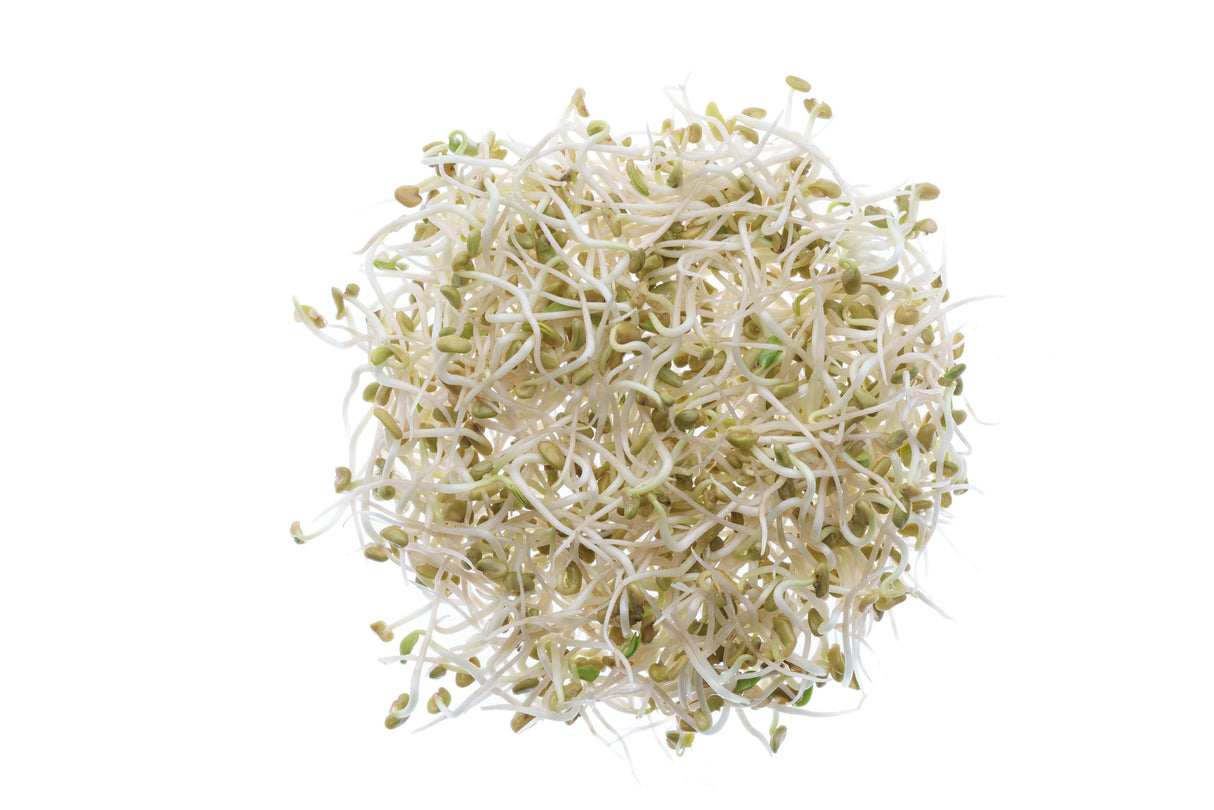 Set mit 5 Sorten Bio-Samen – sm106