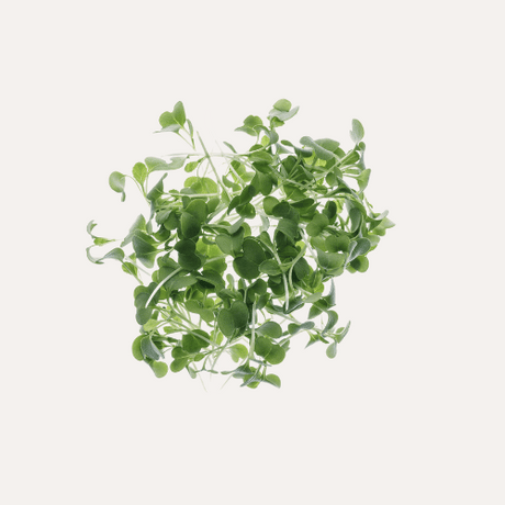 Microgreens