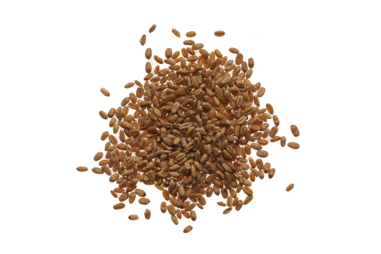 Grano - Seme Bio 100gr