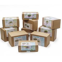 Starter kit germogli & microgreens - Vita L
