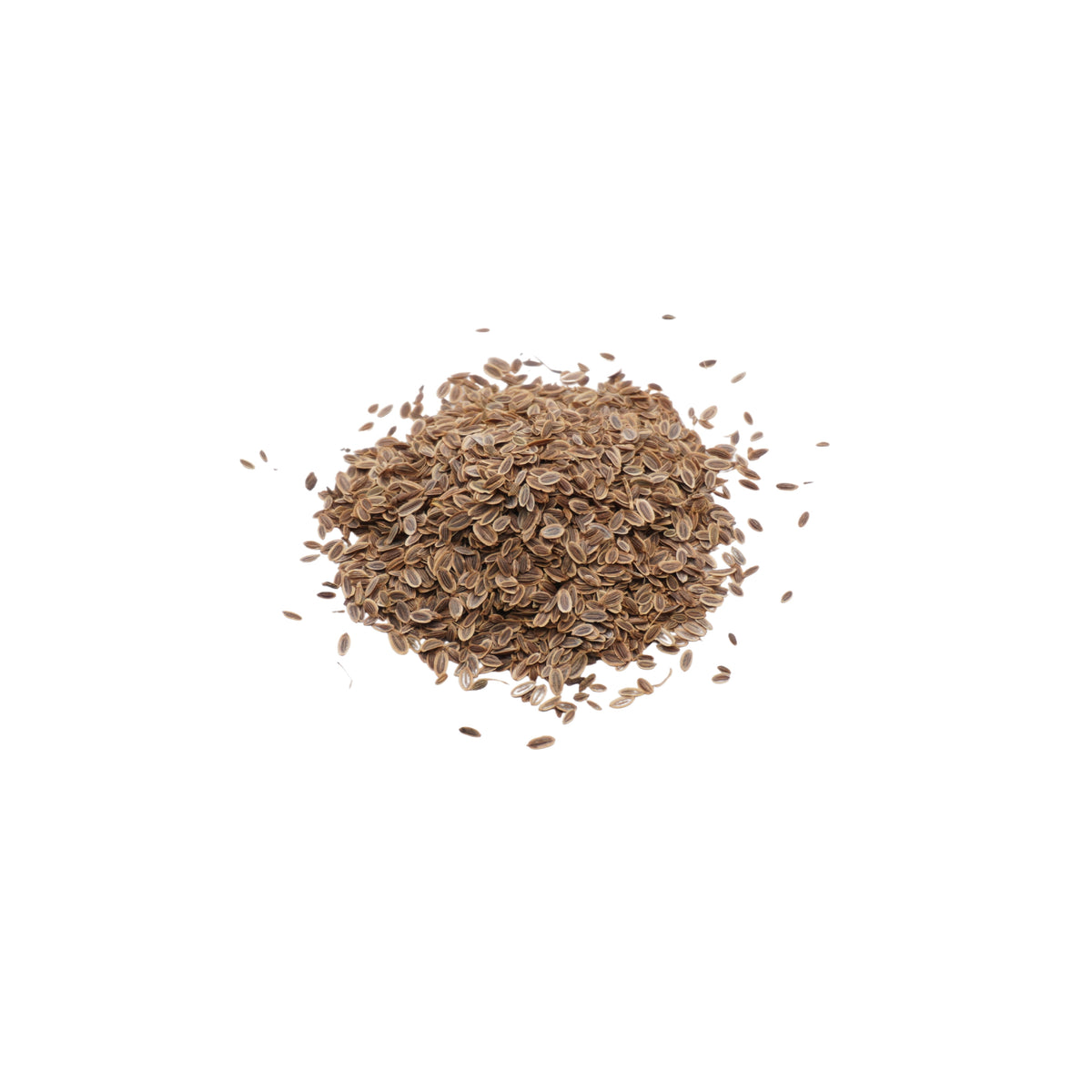 Semi di Aneto bio - 2 g