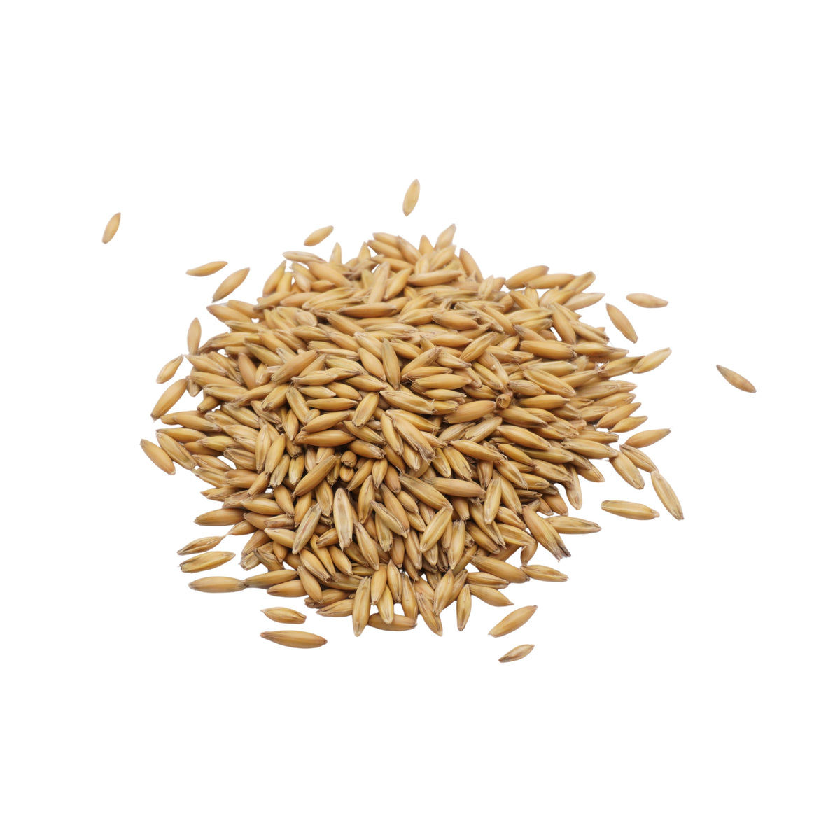 Set semi erba d'avena bio e cocco - 6 ricariche - ss909