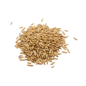 Set semi erba d'avena bio e cocco - 6 ricariche - ss909