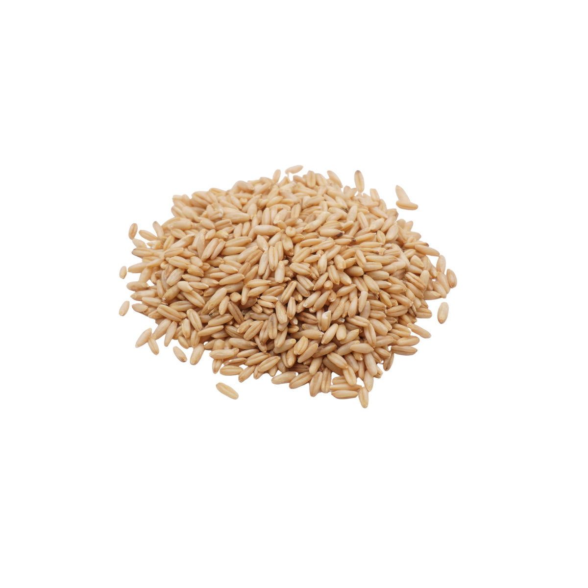 Set semi microgreens bio per gatti - 12 varietà - ss902