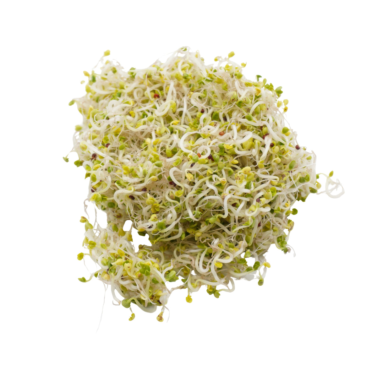 Semi di Pak Choi bio - 20 g
