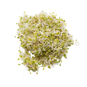 Kit per germogli e microgreens bio - 2 Eva H e 6 varietà semi - sk102