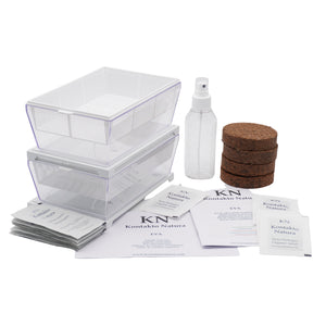 Kit per erbe aromatiche bio - 2Eva S e 4 varietà semi - sk401