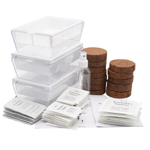Kit per microgreens bio con cocco - 3 Eva S e 24 varietà di semi - sk207
