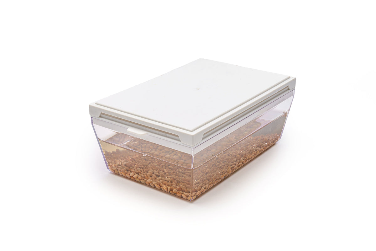 Semi di Lenticchia rossa bio - 100 g