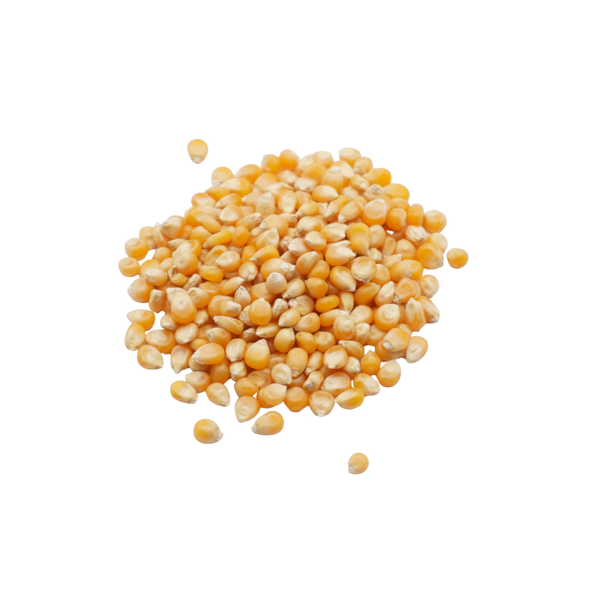 Semi di Mais bio - 35 g