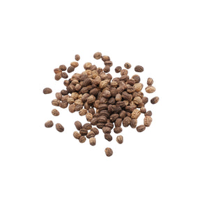 Set semi per erbe aromatiche bio - 14 varietà - ss402