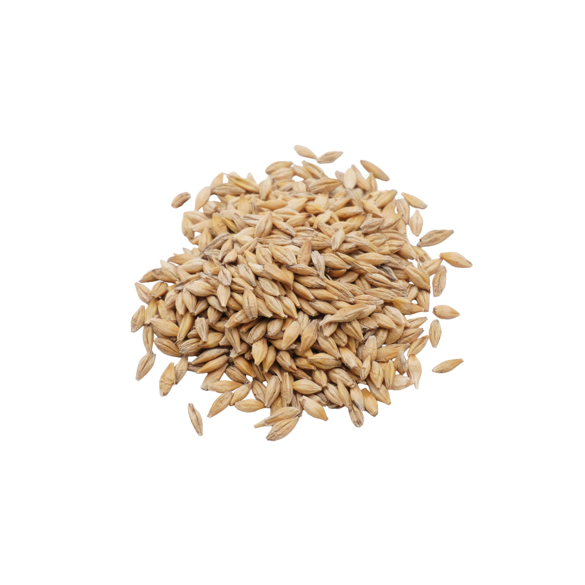 Semi di Orzo bio - 30 g