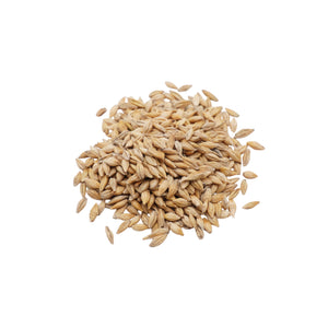 Semi di Orzo bio - 30 g
