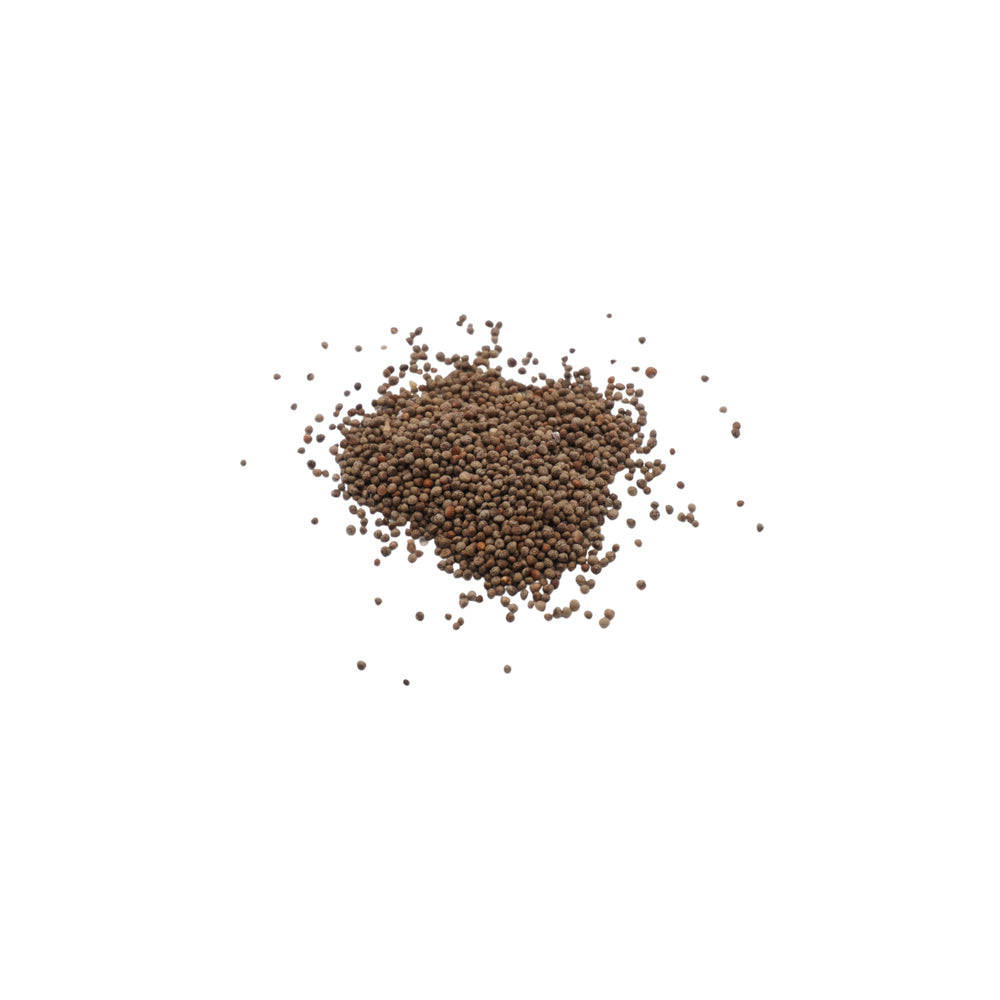 Semi di Perilla bicolor bio - 2g